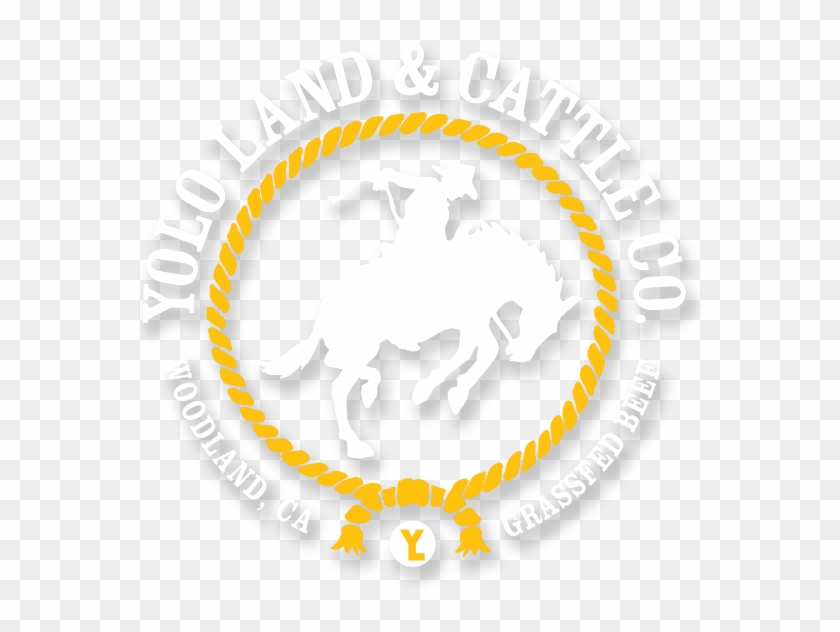 Ranching Responsibly Since - Holy Heart Of Mary High School Logo Clipart