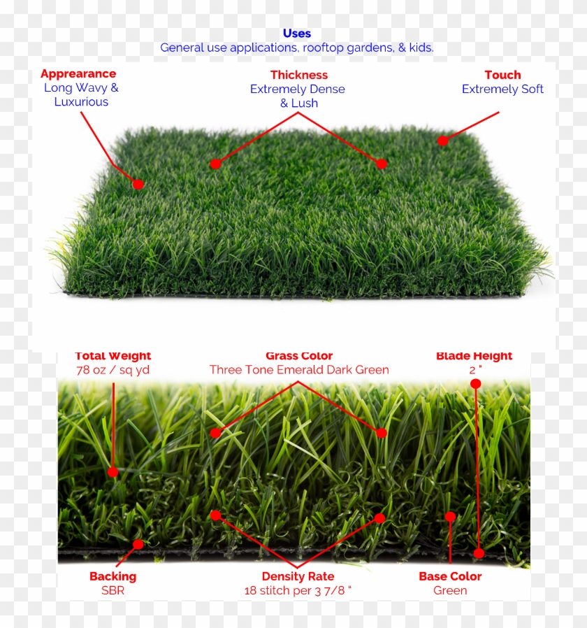Lush Dark Green Grass Clipart