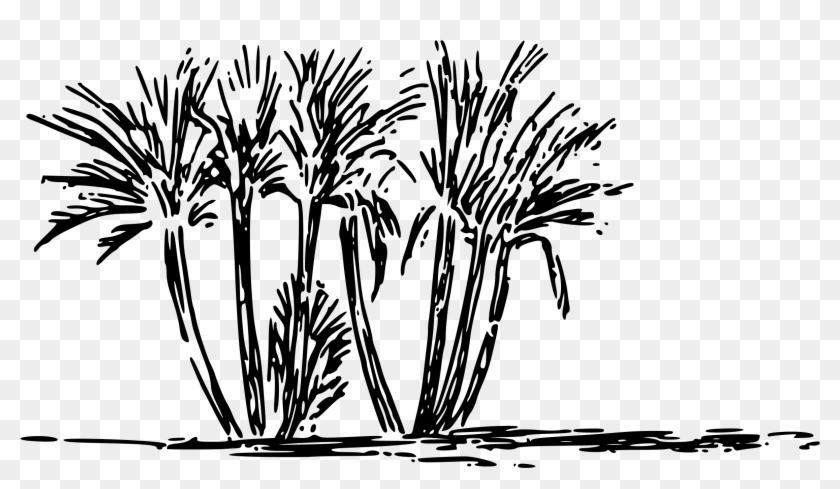 This Free Icons Png Design Of Tree Clump - Clump Of Trees Clipart Transparent Png #4918914