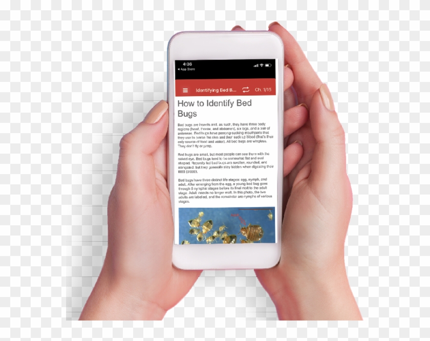 Bed Bug Supplement - Iphone Clipart