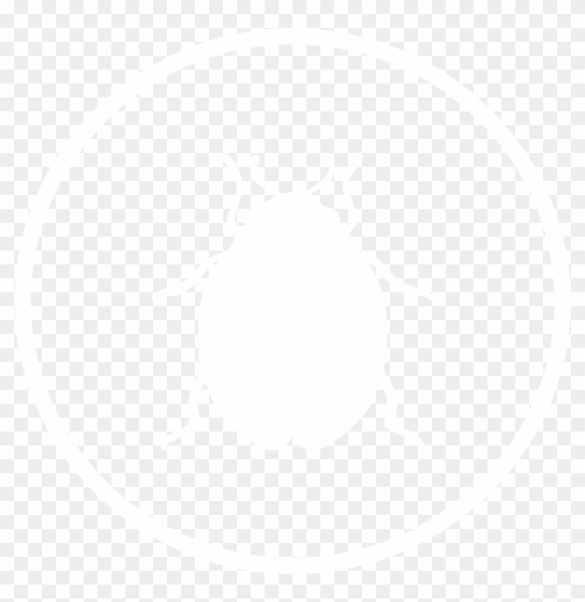 Circle Clipart #4919811