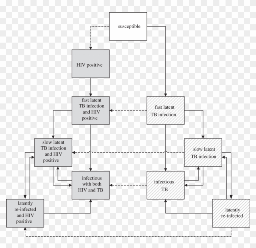 Outline Of The Possible Transitions In The Network - Monochrome Clipart