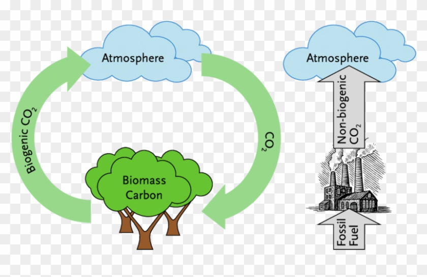 The Intergovernmental Panel On Climate Change Distinguishes - Fast Carbon Cycle Diagram Clipart #4920458