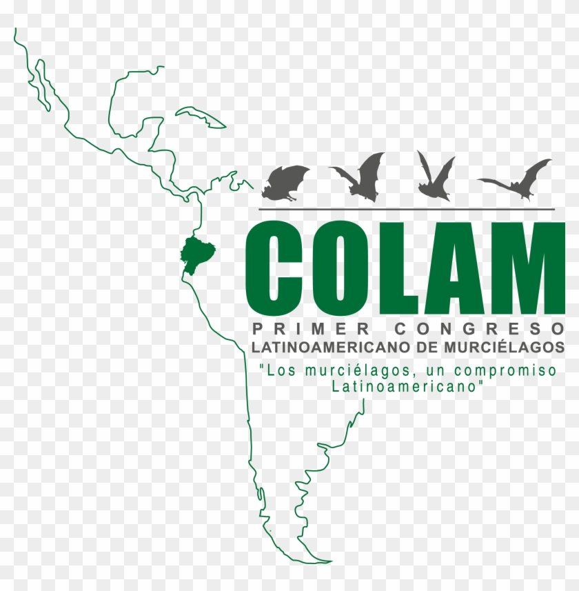 El Congreso Latinomaericano De Murciélagos , Es Un - Graphic Design Clipart #4923279
