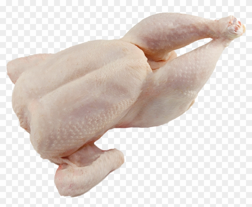 Pollo Entero Clipart #4924265