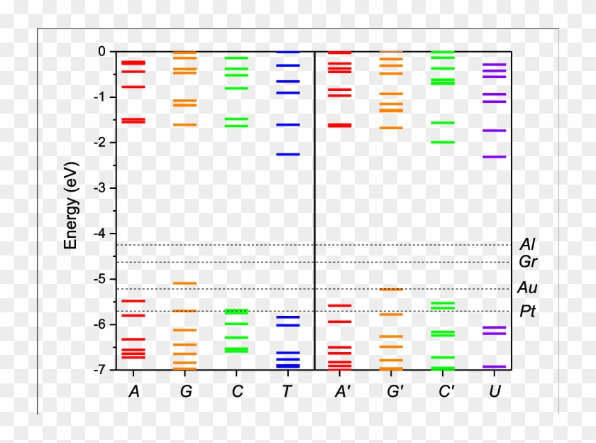 Molecular Energy Levels Of The Of Dna - Plot Clipart