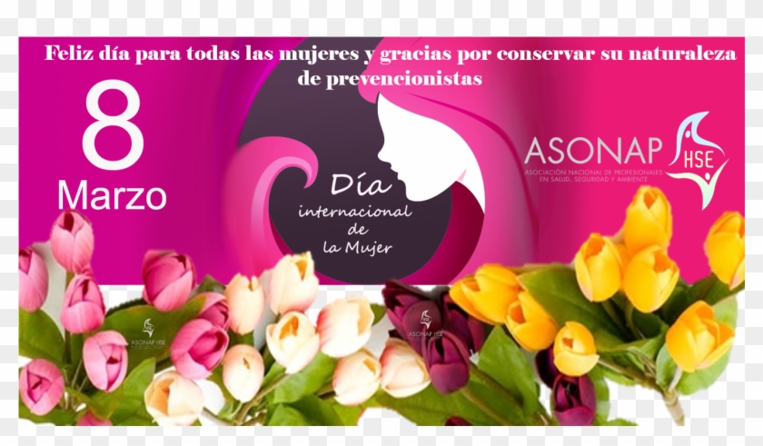 Feliz Día Para Todas, Gracias Por Ayudarnos A Seguir - Tulip Clipart #4925063