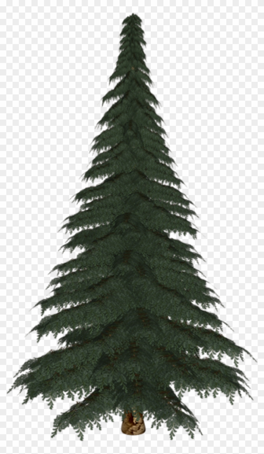 Albero Pino Png - Christmas Tree Clipart #4925782