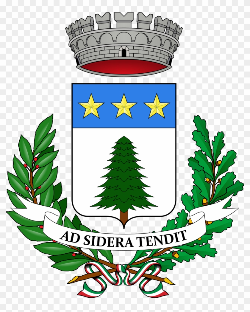 File - Pino Torinese-stemma - Svg - Vines Coat Of Arms Clipart #4926192