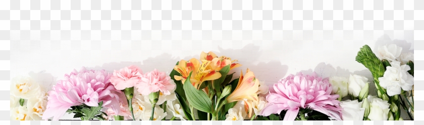 View Signature Collection - Flowers At The Bottom Clipart