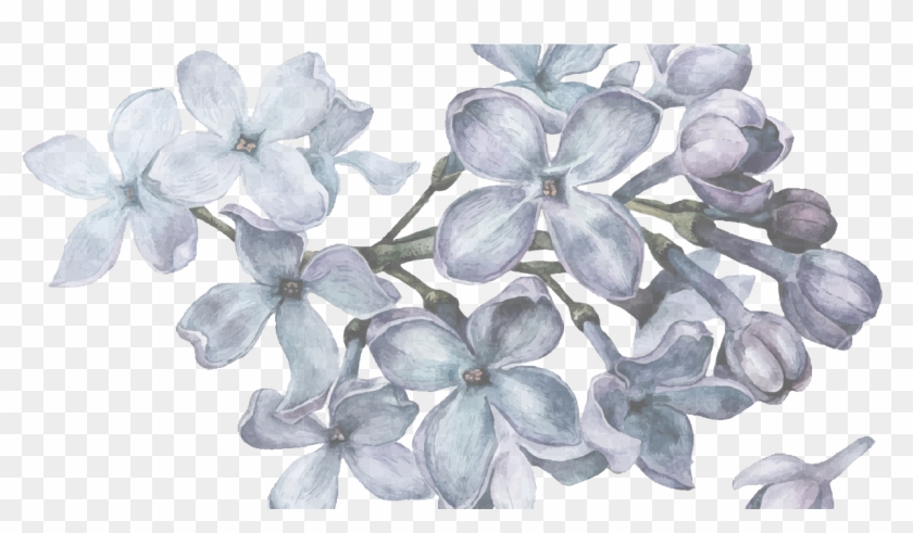 Mesa De Regalos - Flores Color Lila Png Clipart #4927587