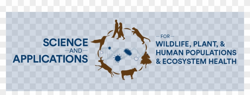 Disease Ecology - Application Error Clipart