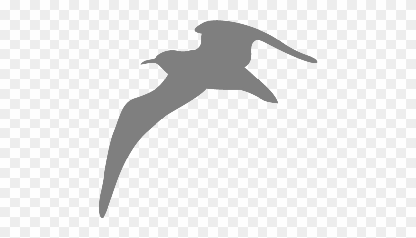 Seagull Png - Seagull White Icon Png Clipart #4930192