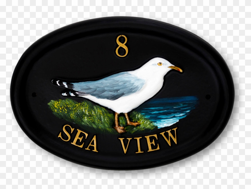 Seagull Standing House Sign - European Herring Gull Clipart #4930342