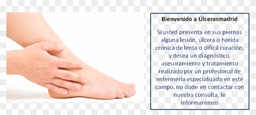 Bienvenidos - 16 - 11 - 14 - 5 - Toe Clipart #4930882