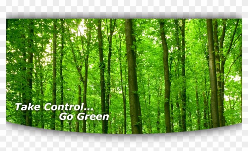 At American Pest Control, Inc - Mural Clipart