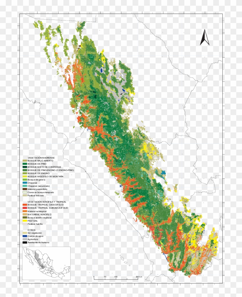 Vegetación Y Uso Del Suelo En La Sierra Madre Occidental - Atlas Clipart #4932576