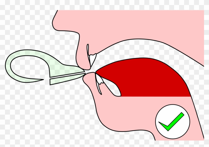 Keep Your Head Up And Hold The Ocarina Straight In Clipart