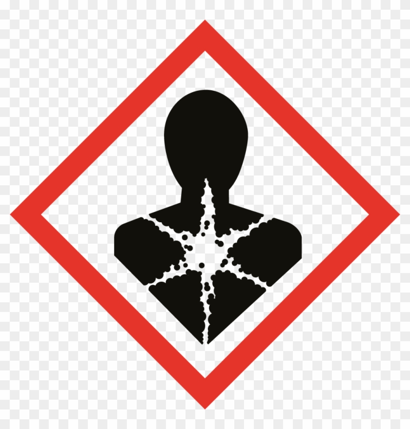Descargar En - Long Term Health Hazard Symbol Clipart #4934251