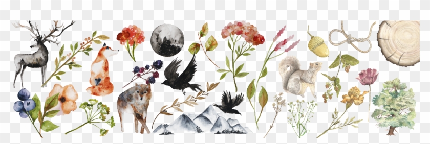 Storybook Girl Design Shop Banner , Png Download - Burnet Rose Clipart