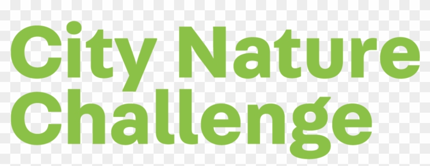 Cities Around The World Will Be Competing To See Who - .de Clipart