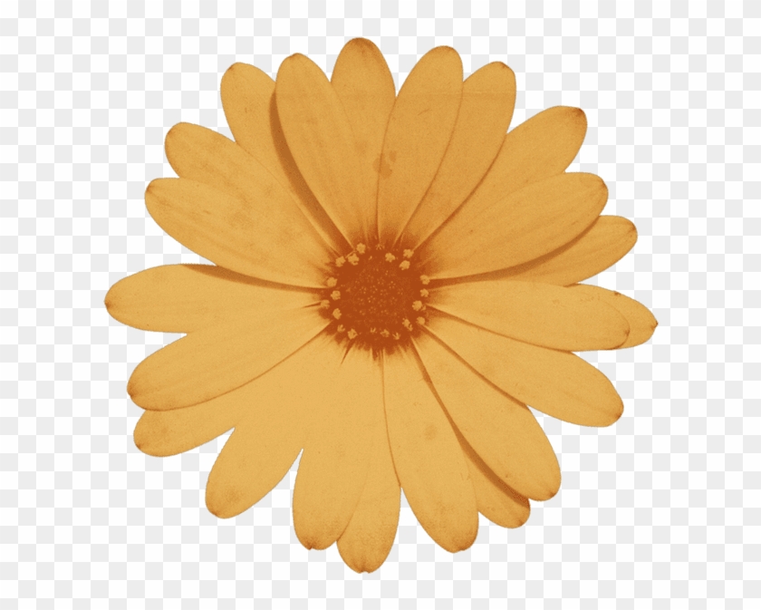 276087587012211 - Simple Birthday Greetings For My Boyfriend Clipart #4936322