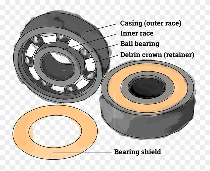 Image Displays Parts Of A Skateboard Bearing, Consisting - Opportunities For Learning Clipart #4937068