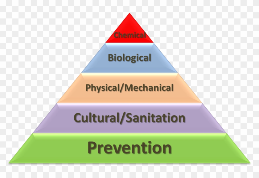 Layers Of Pest Prevention And Management - Principles Of Prevention Clipart #4937503