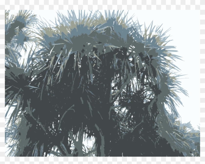 Sunny Weather In Taipei - Borassus Flabellifer Clipart #4939628