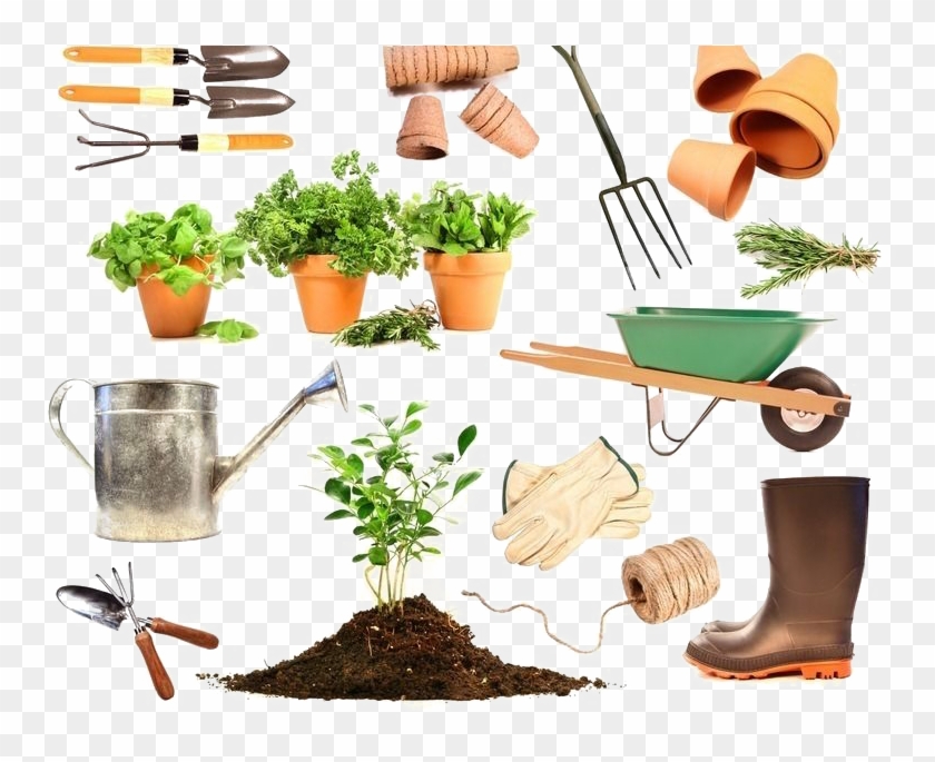 Garden Tool Tools Species Of Plants Needed - Garden Things Clipart #4940003