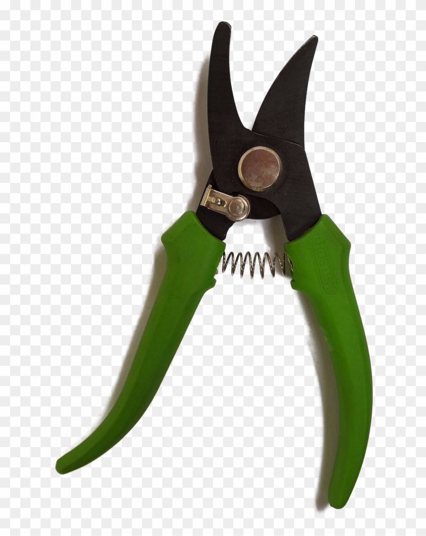 Gardening Tools And Equipment 01 Gardening Tools And - Snips Clipart