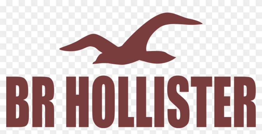 Hollister Png Wwwimgkidcom The Image Kid Has It - Seabird Clipart #4943133