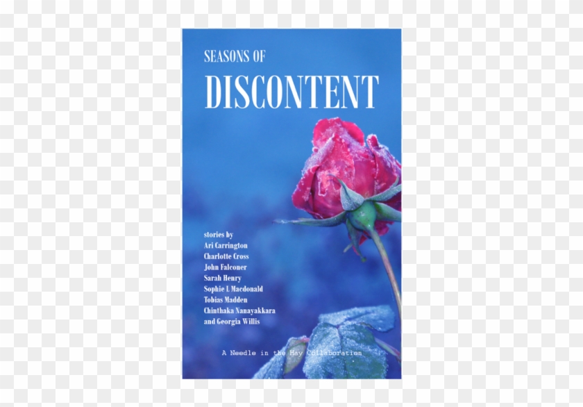 Seasons Of Discontent - Garden Roses Clipart #4943309