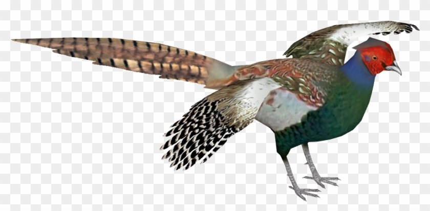 Pheasant Png - Pheasant Transparent Clipart