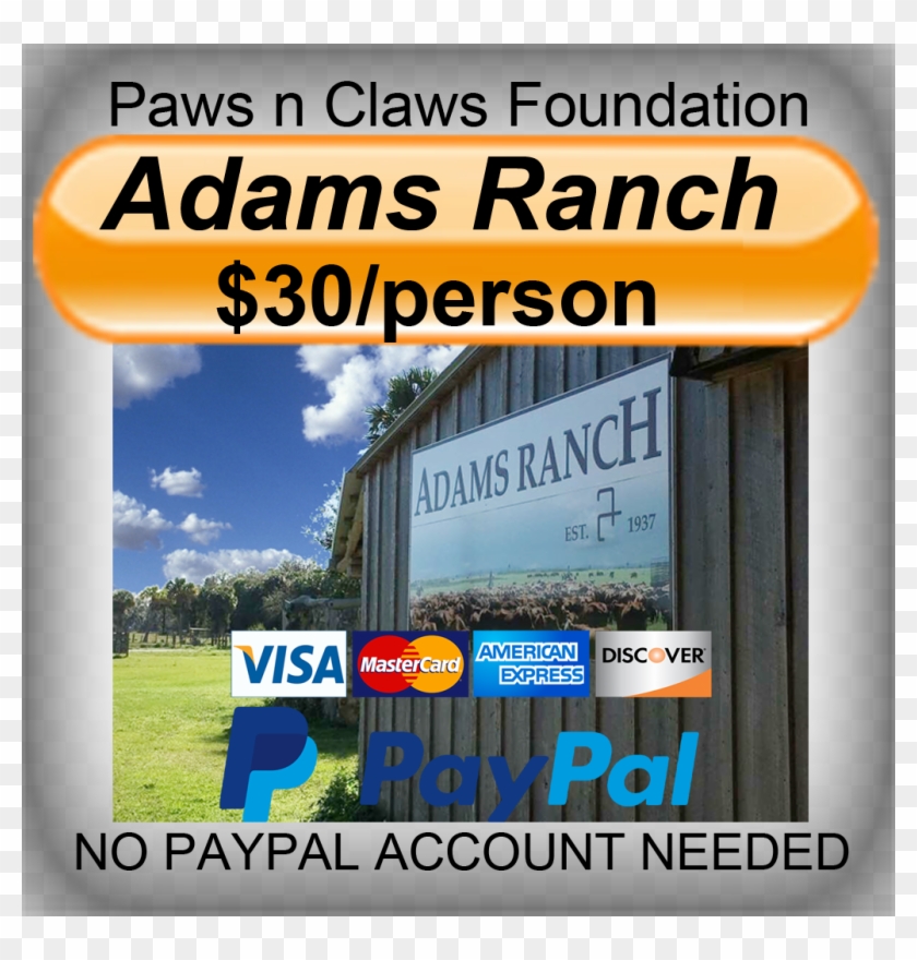 Credit Card - Poster Clipart