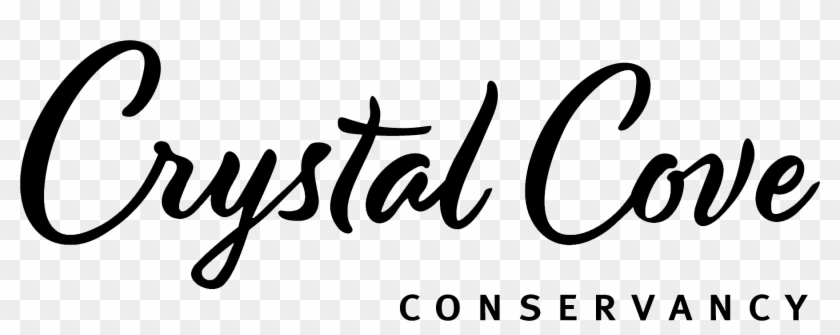 Martini Flag Raising - Calligraphy Clipart #4943836