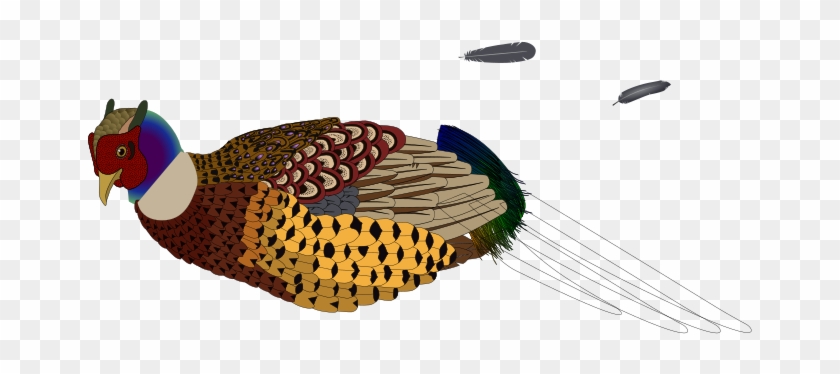 Pheasant Clipart Free For Download - Pheasants Clipart Transparent - Png Download