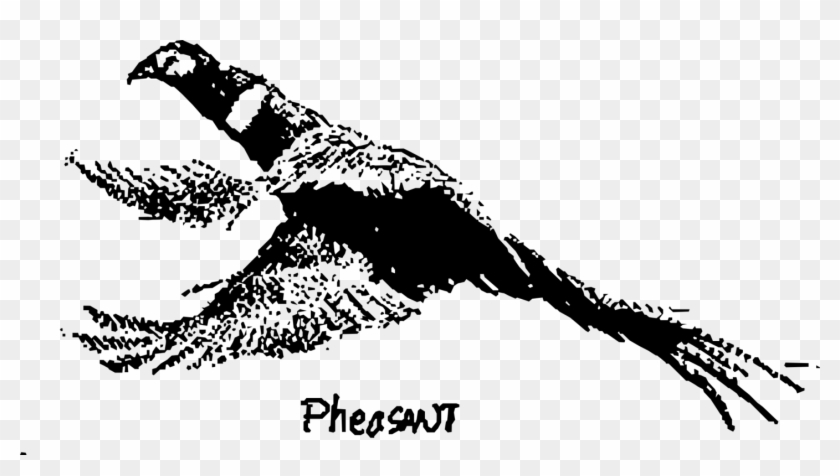 Ring-necked Pheasant Red Junglefowl Computer Icons - Clip Art - Png Download