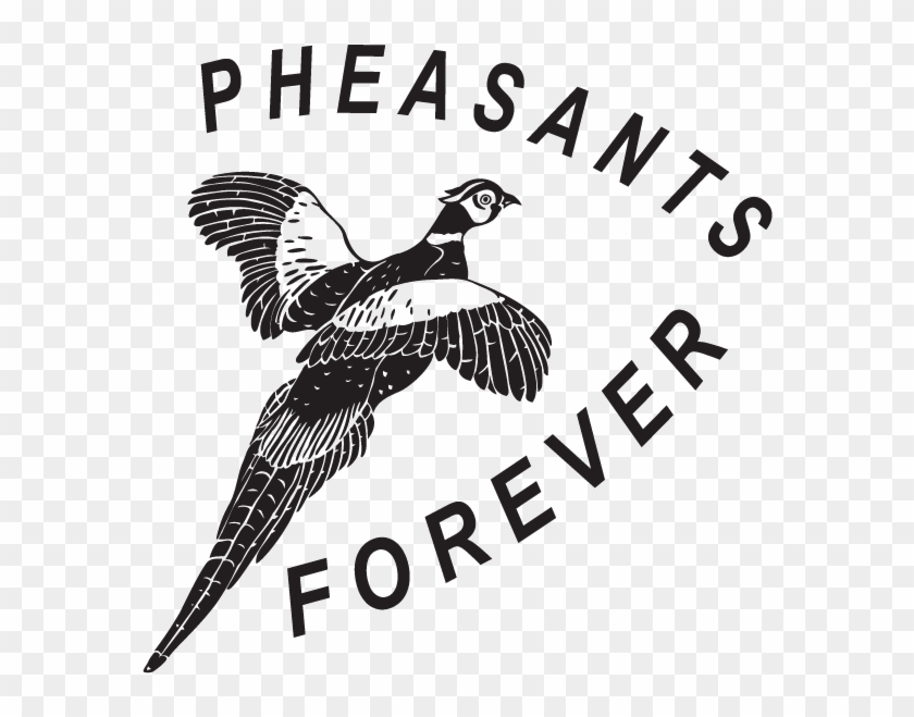 Dc13104 - Pheasants Forever Black And White Clipart #4944379