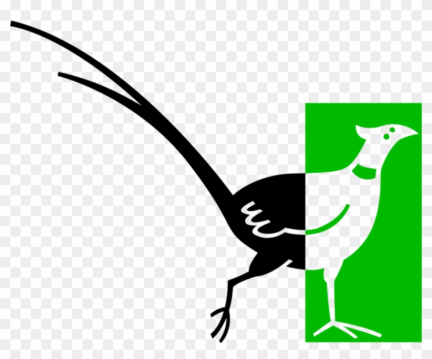 Vector Illustration Of Brightly Colored Pheasant Bird - Flightless Bird Clipart #4944598