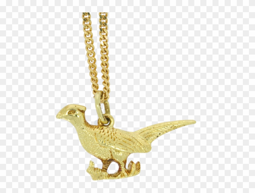 9ct Yellow Gold Pheasant & Chain - Locket Clipart #4944759