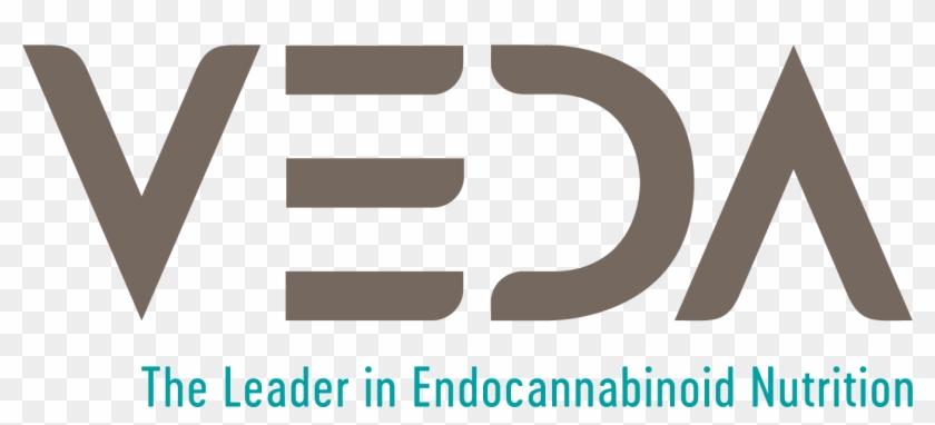 Footer-logo Clipart #4945809