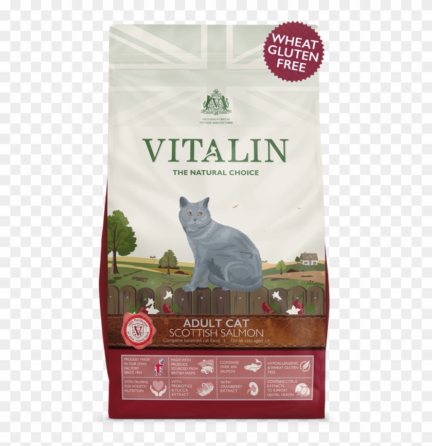 Scottish Salmon Has Been Carefully Formulated As A - Vitalin Clipart