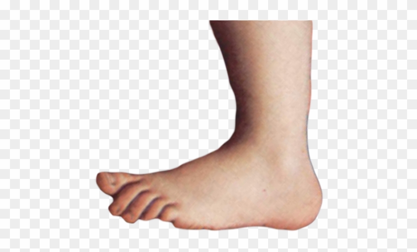 Image - Monty Python Foot Png Clipart #4947680