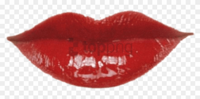 Free Png Lèvres Png Image With Transparent Background - Lip Gloss Clipart #4948417