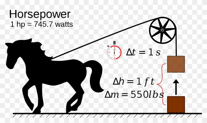 Much Horsepower Does A Horse Have Clipart