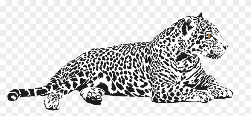 Cool Image Of Jaguar - Black And White Jaguar Animal Clipart #4948751