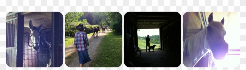 A Couple Of Weeks Ago I Got To Attend Sarah Selecky's - Walking Clipart