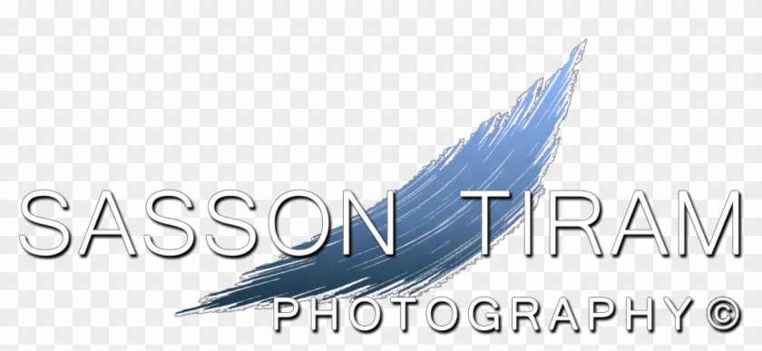 Graphic Design Clipart #4949784