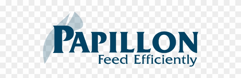 Graphic Design Clipart #4950431